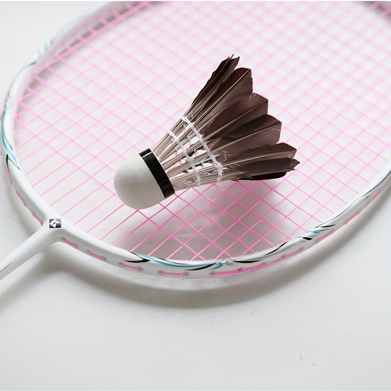 2-Pack Black Duck Feather Balls, Satisfies 2-6 Serve Needs, Small Bucket for Easy Portability