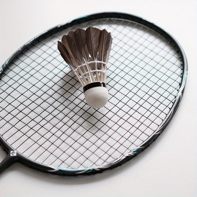 2-Pack Black Duck Feather Balls, Satisfies 2-6 Serve Needs, Small Bucket for Easy Portability