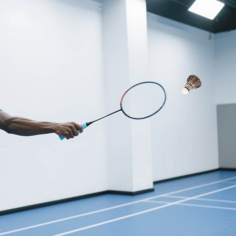 2-Pack Black Duck Feather Balls, Satisfies 2-6 Serve Needs, Small Bucket for Easy Portability